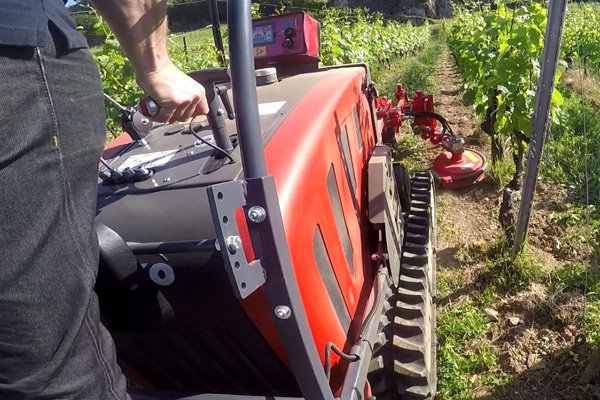 Le Valais veut encourager la viticulture responsable